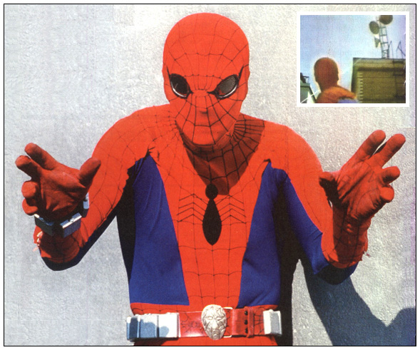 suit man spider 1977 EXTRA! and / Man' 'The   Amazing 9/13 Sly Spider the