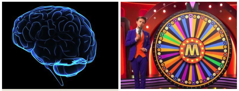 Human Brain and Mega Wheel